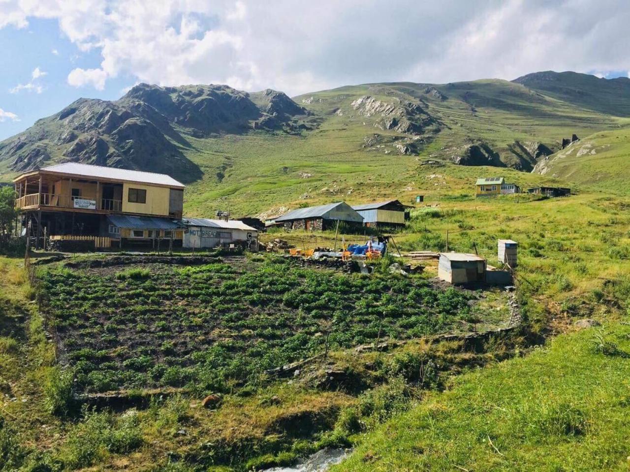 Shio'S Stonehouse In Tusheti Vandrehjem Eksteriør billede